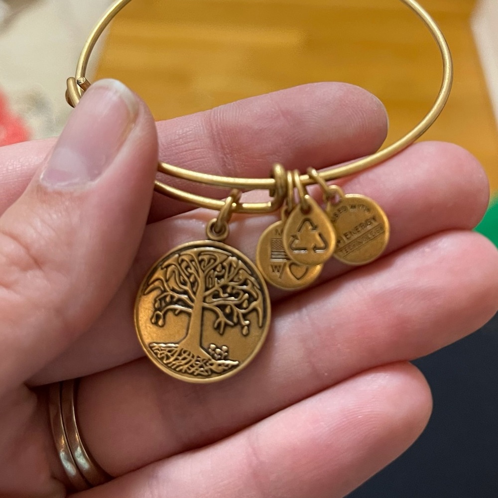 Alex & Ani Energy Bracelet
